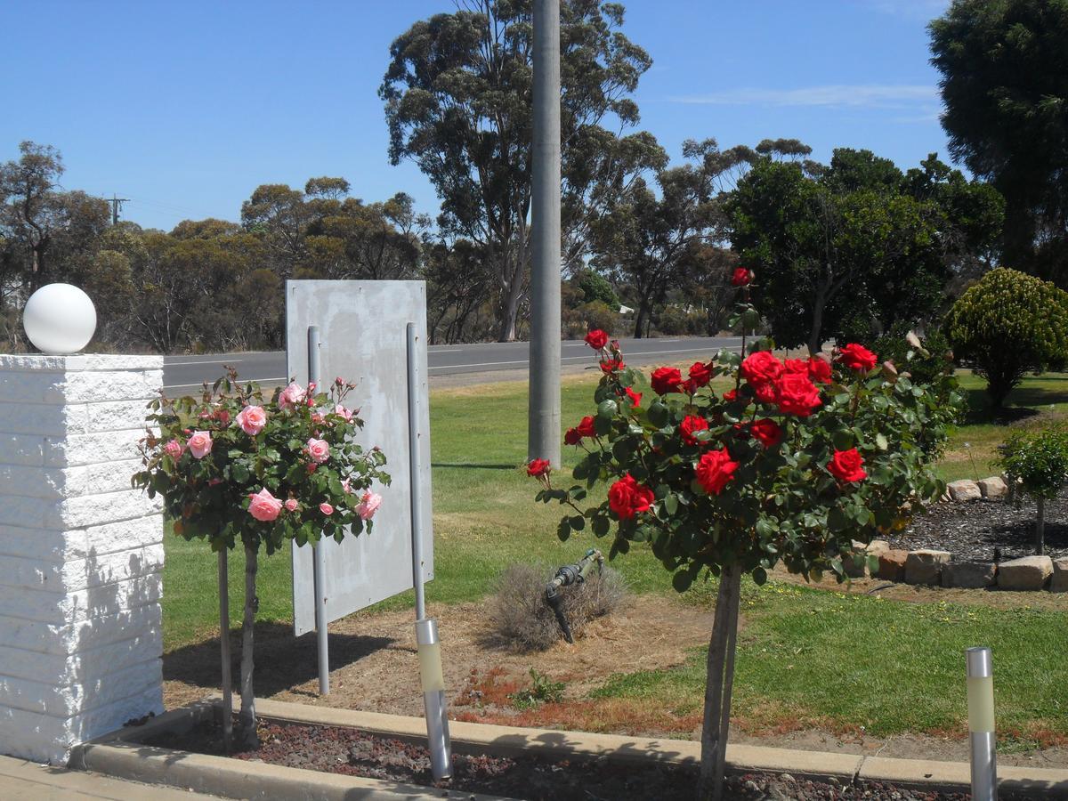 Motel Dimboola Pokoj fotografie